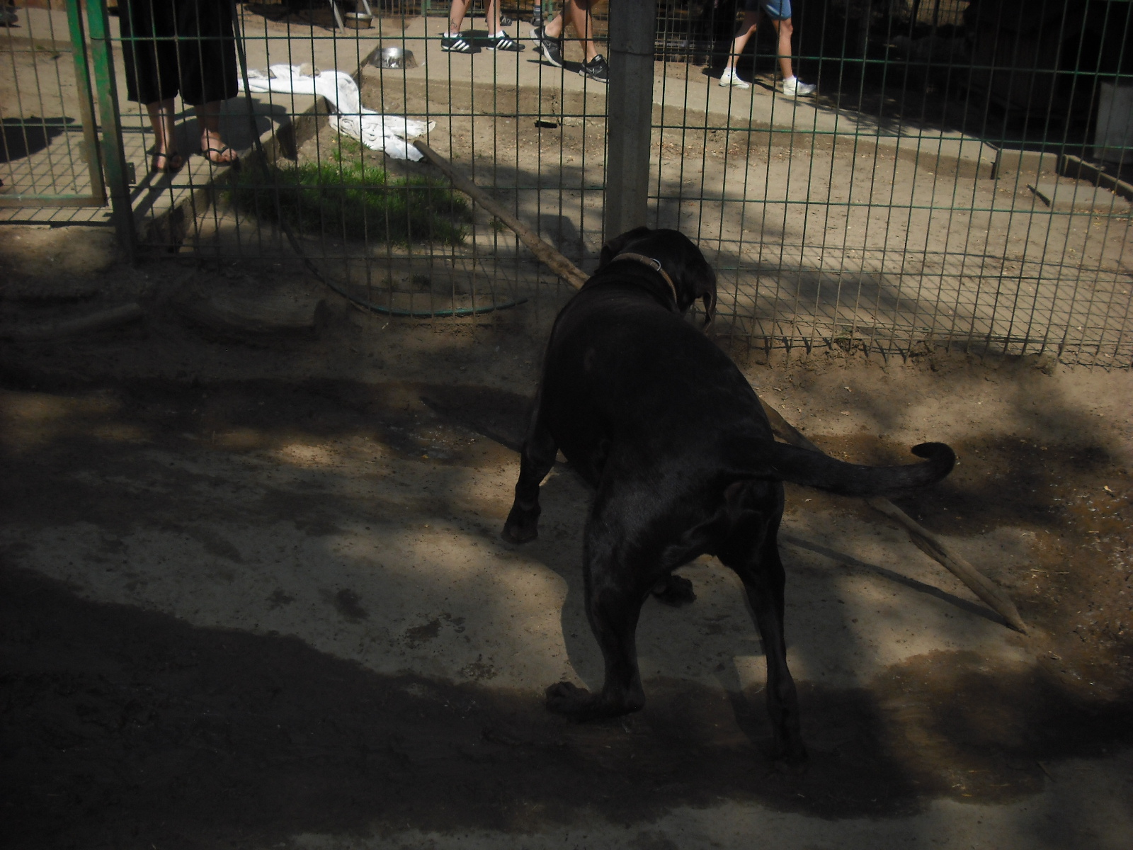 dscf8511.jpg