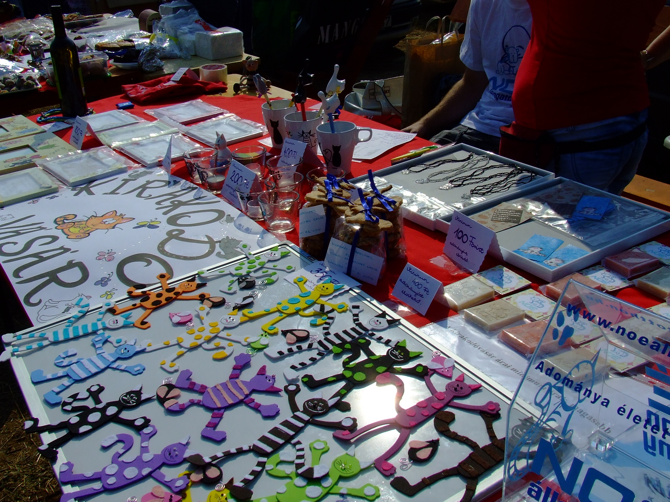 dscf8841.jpg