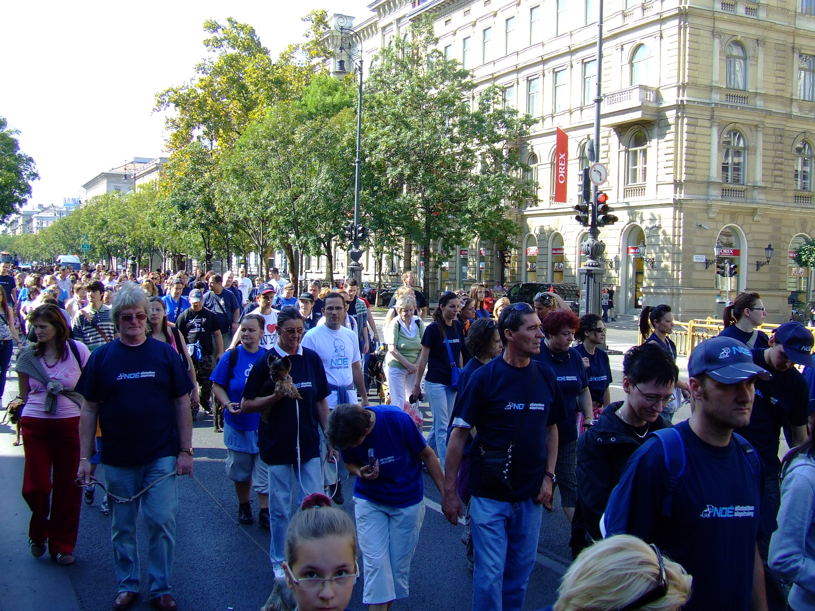dscf8977.jpg