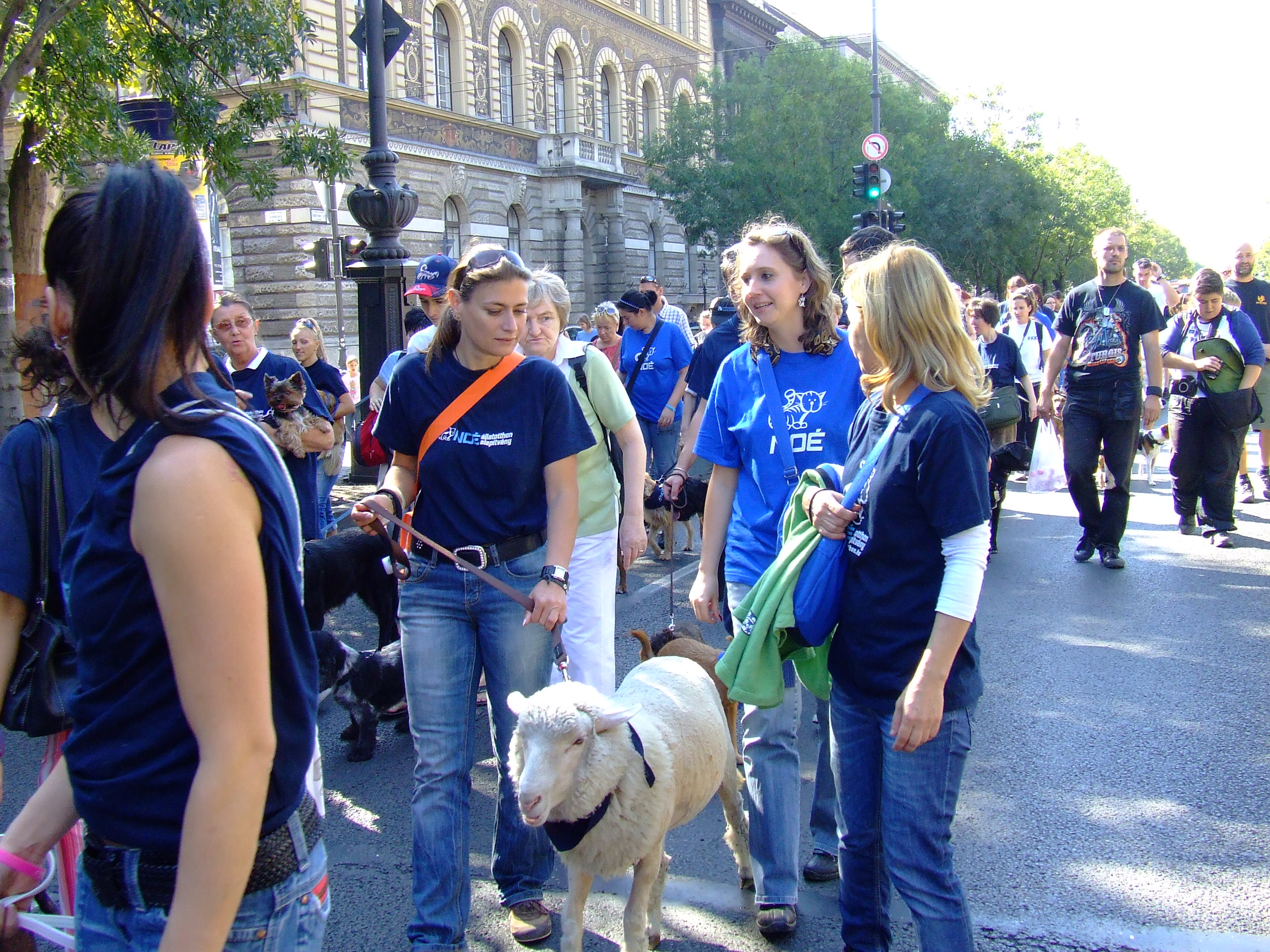 dscf8985.jpg