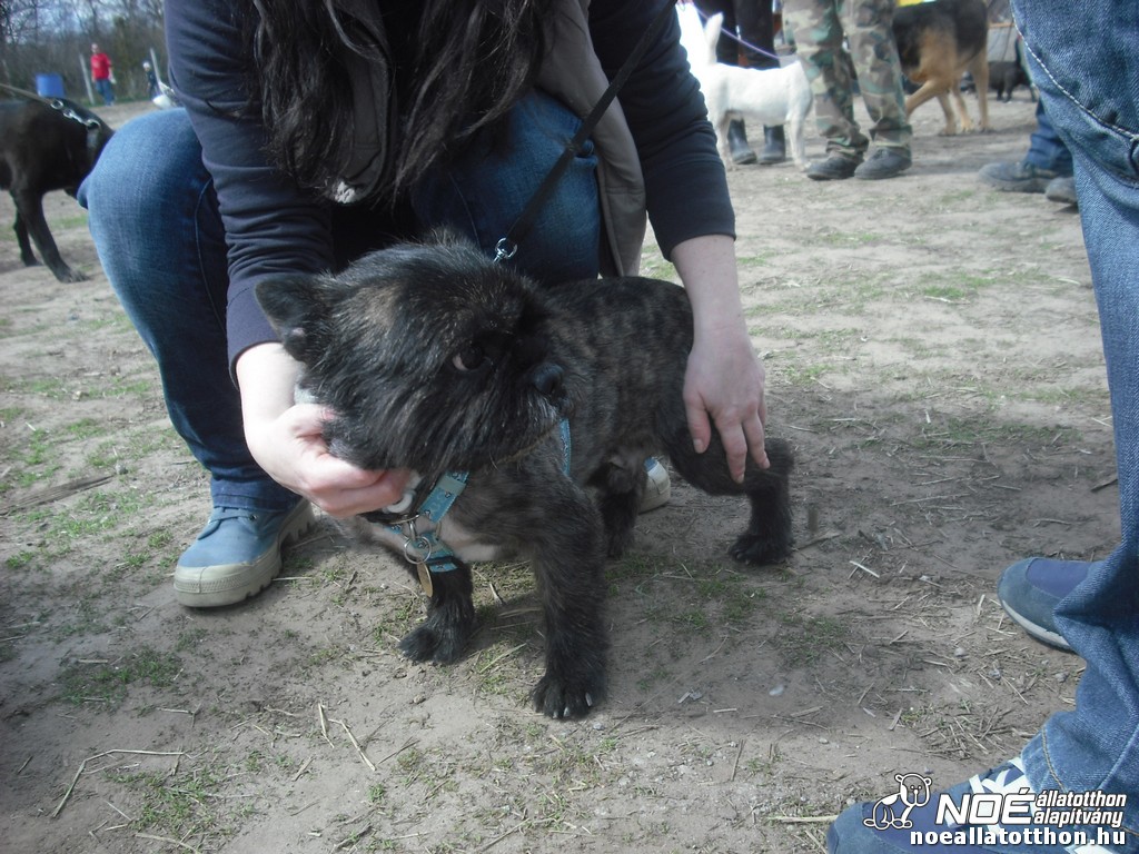dscf9842.jpg