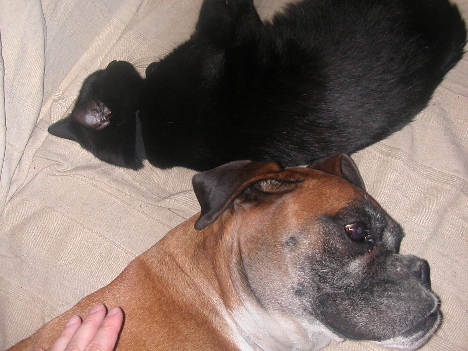 dscn0548.jpg