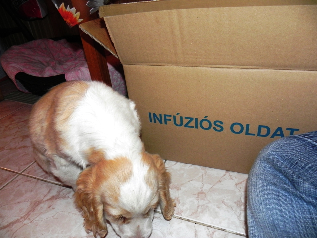 dscn4923.jpg