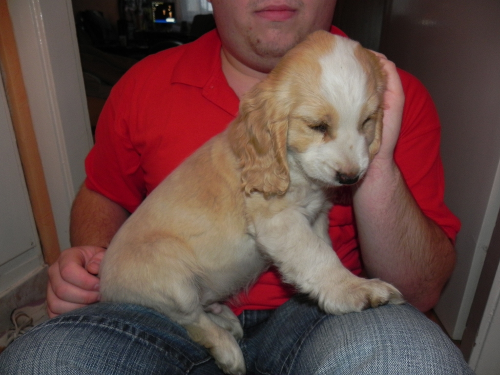 dscn4927.jpg