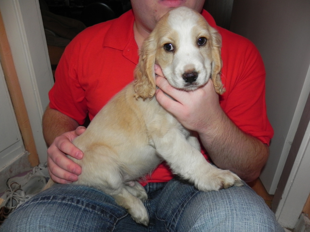 dscn4928.jpg