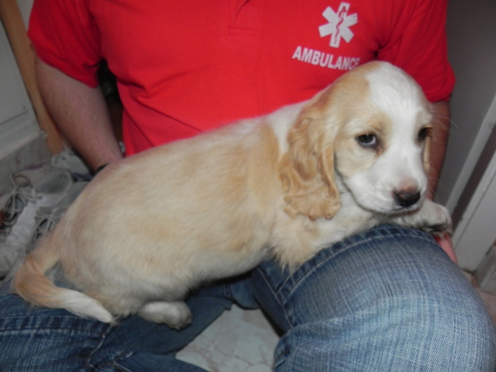 dscn4930.jpg