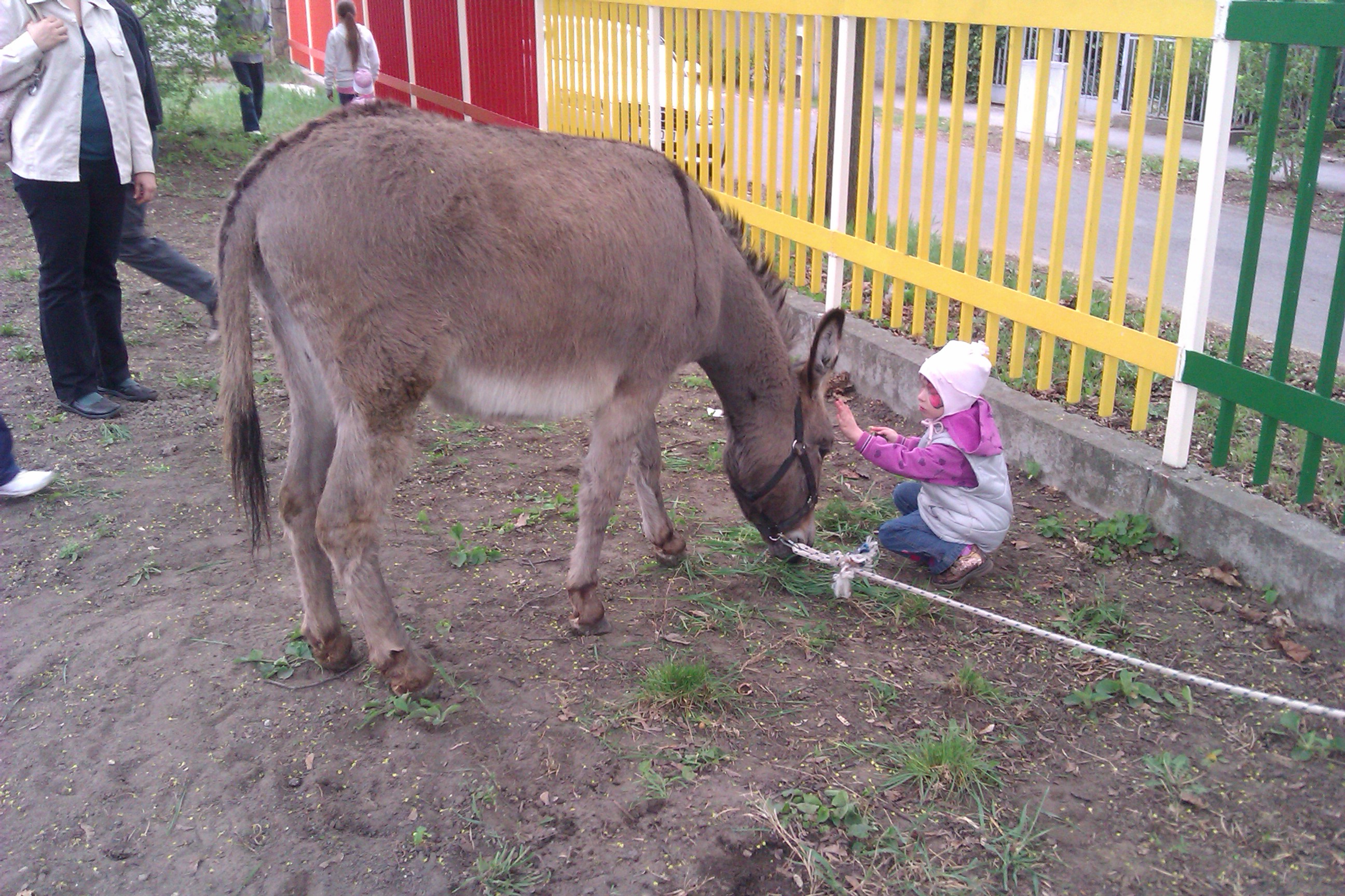 imag0310.jpg