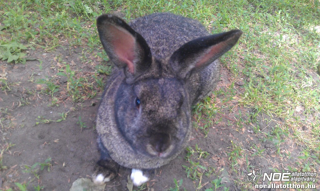 imag0428_2.jpg