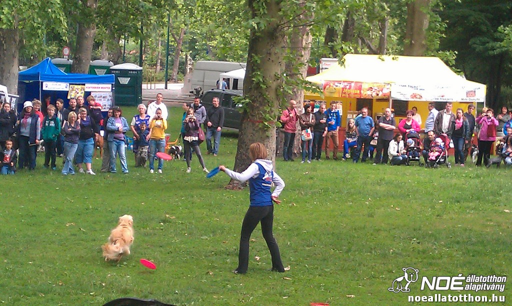 imag0486_2.jpg