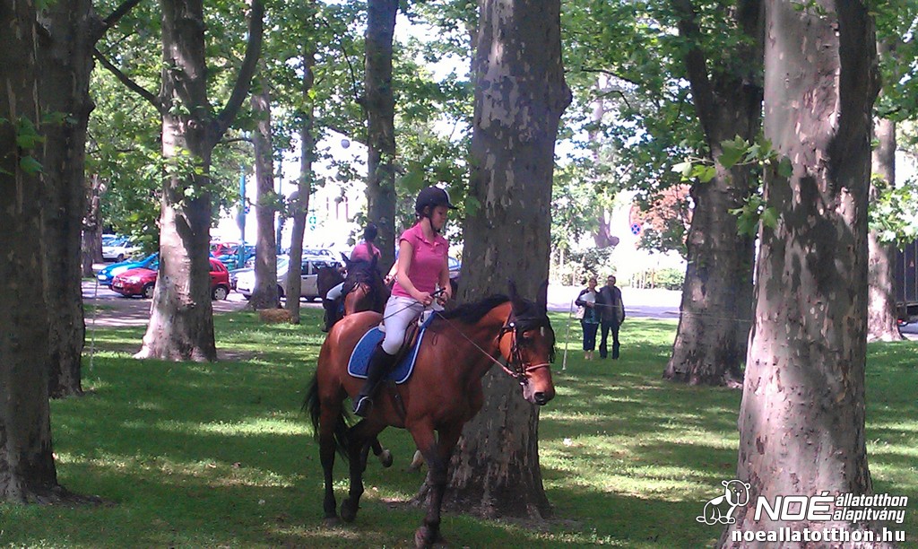 imag0533_2.jpg