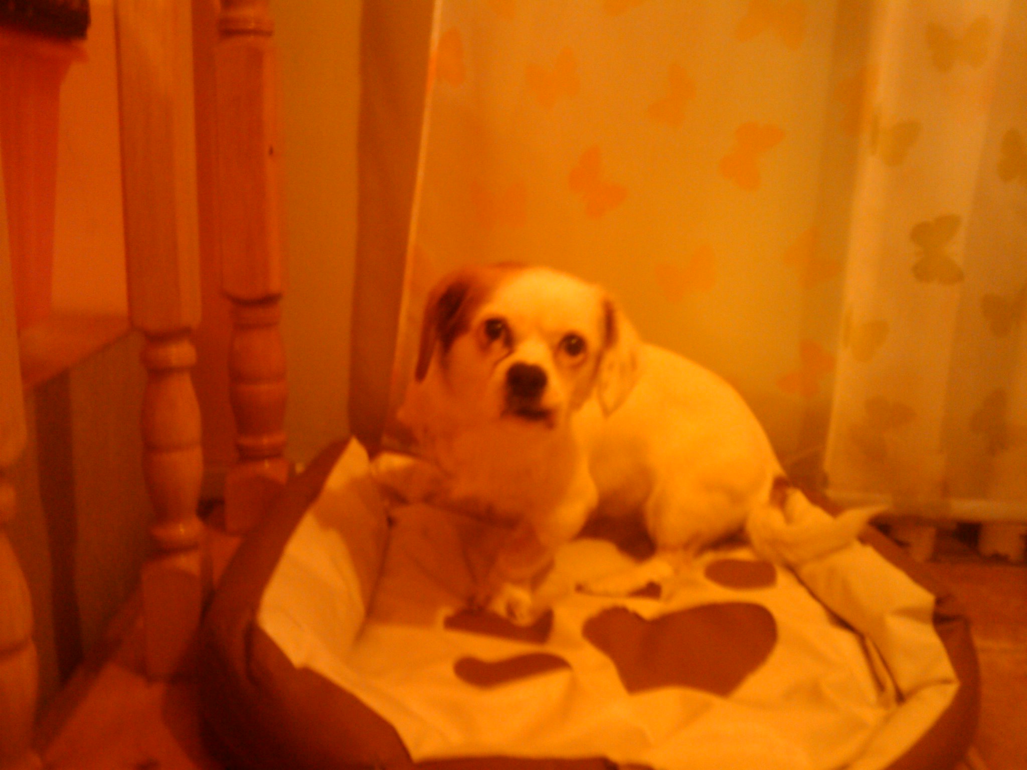 image_380.jpg