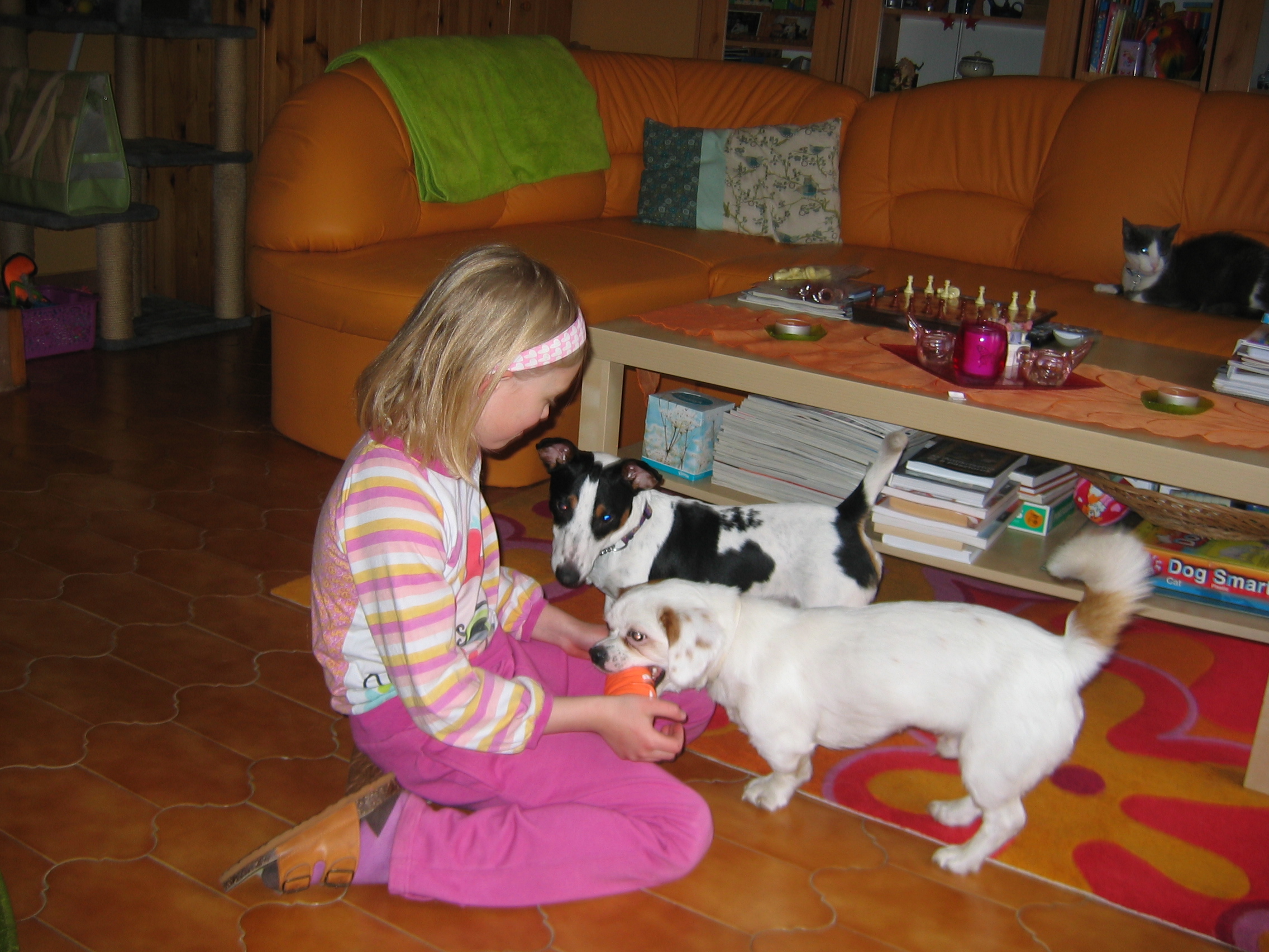 img_9382.jpg