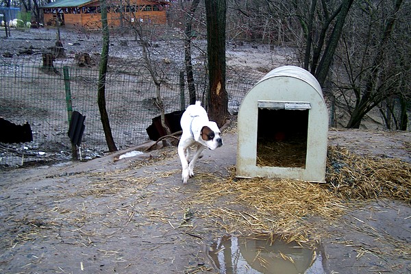 kodak_033_3.jpg