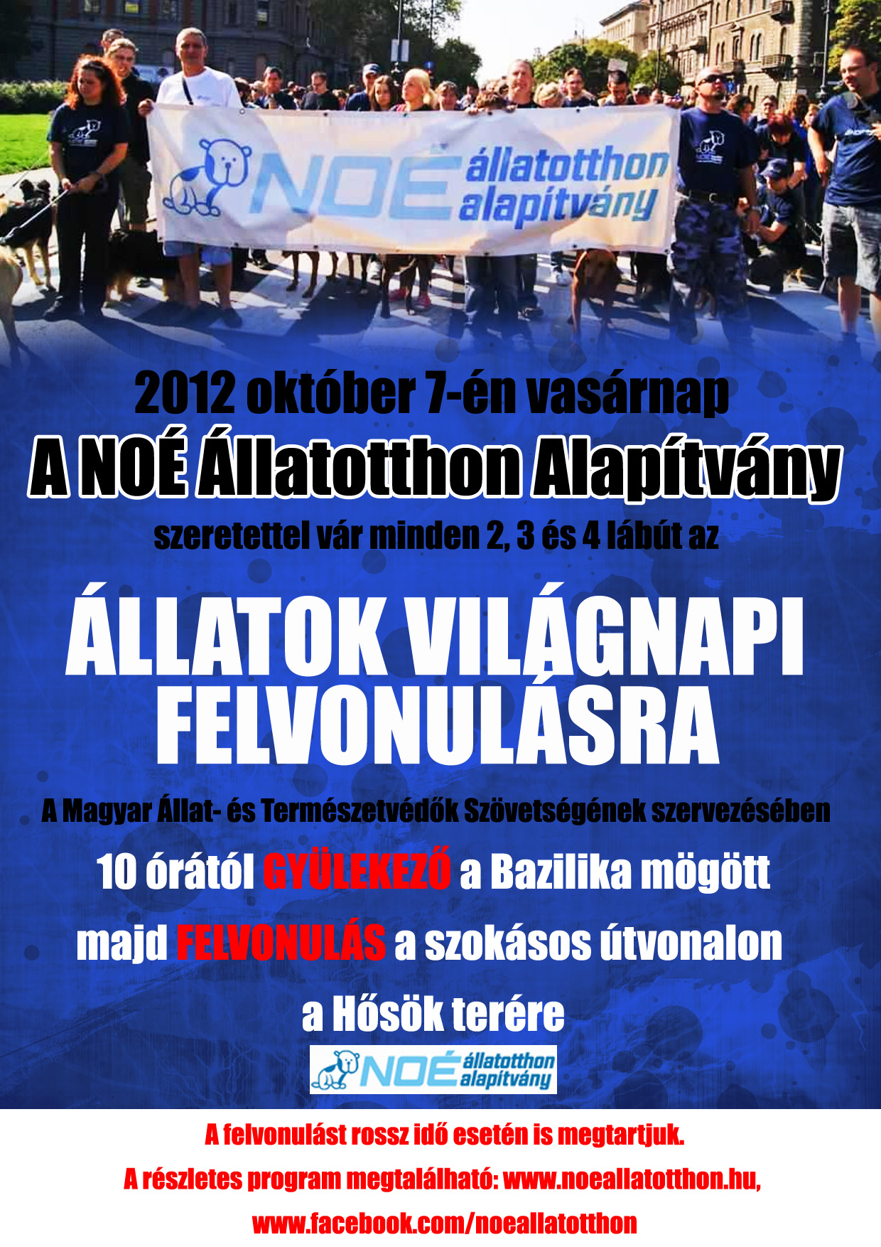 llatok_vilgnapja_copy.jpg