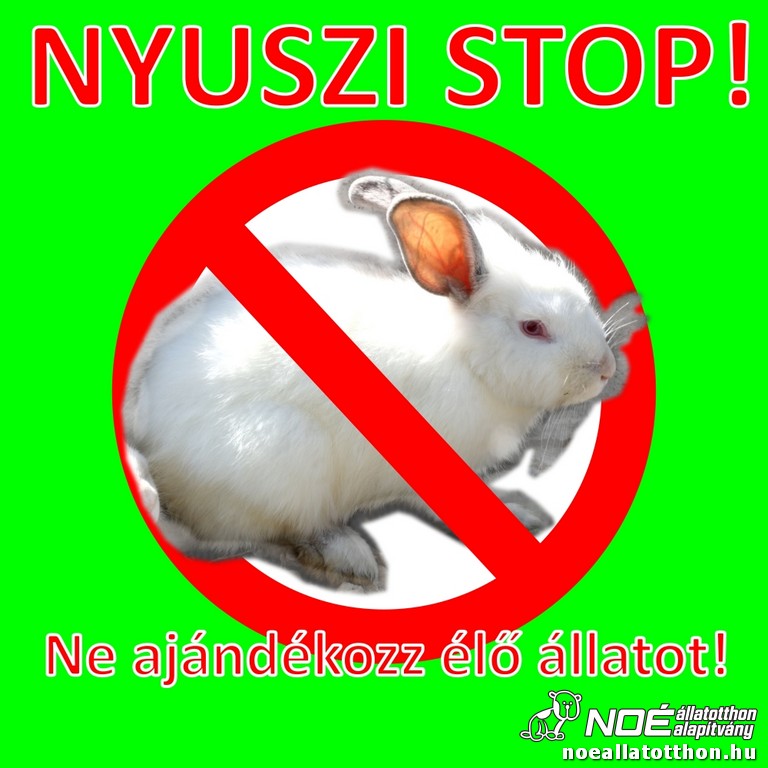 nyuszi_szop.jpg