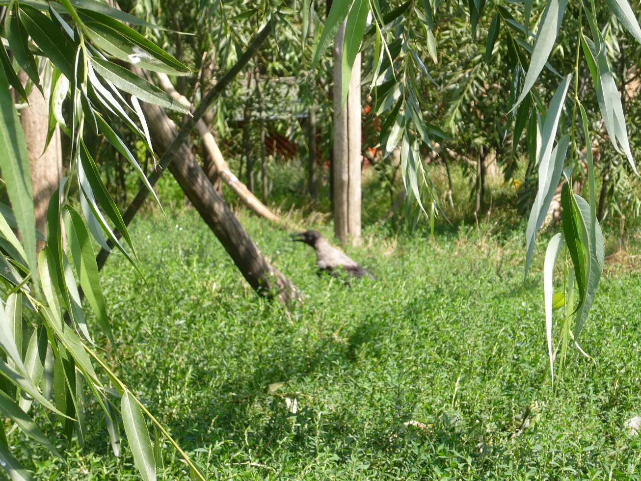 p1030578.jpg