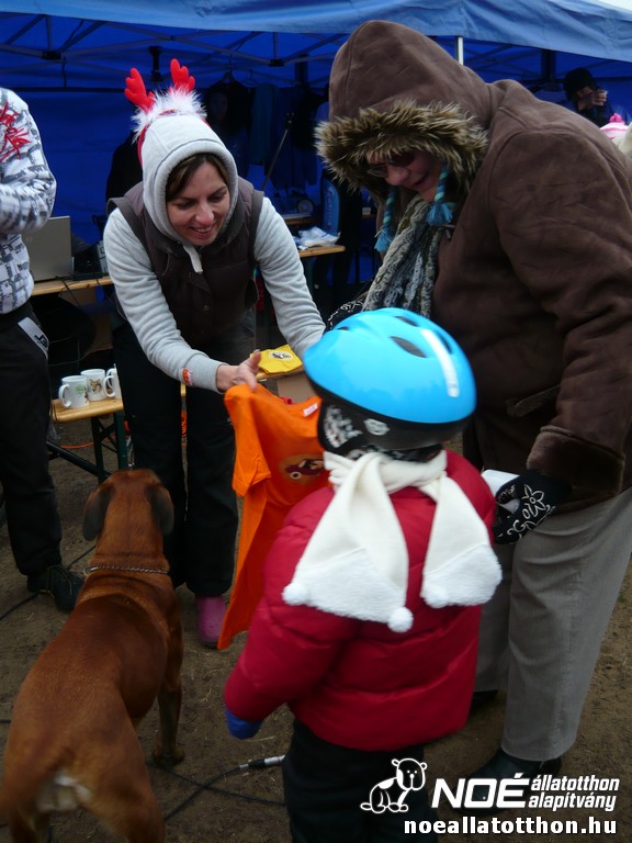 p1060855_2.jpg