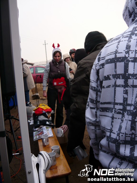 p1060907_2.jpg