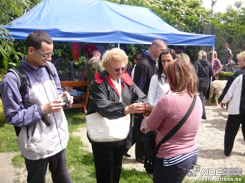 p1100917.jpg