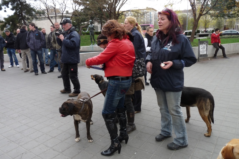p1110619.jpg