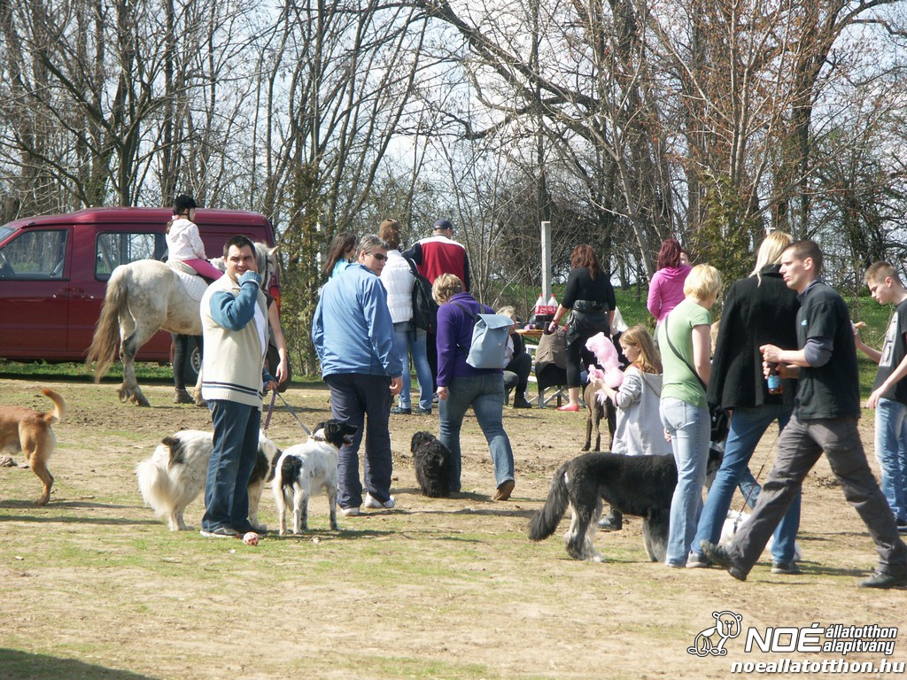 pict0037.jpg