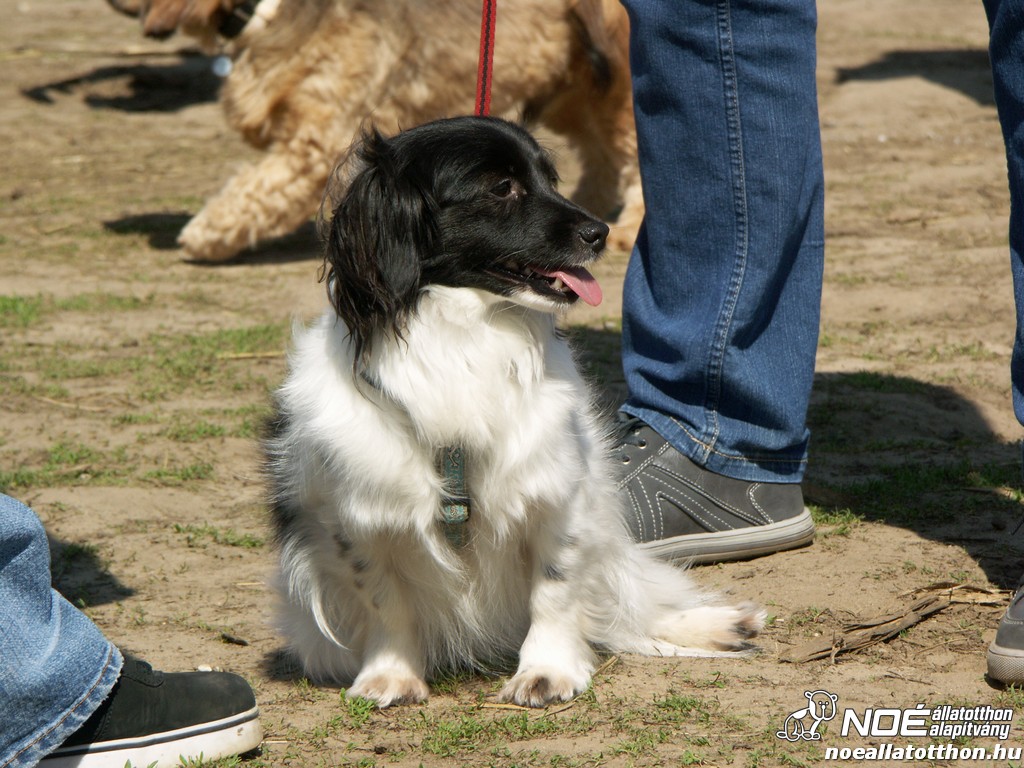 pict0132.jpg