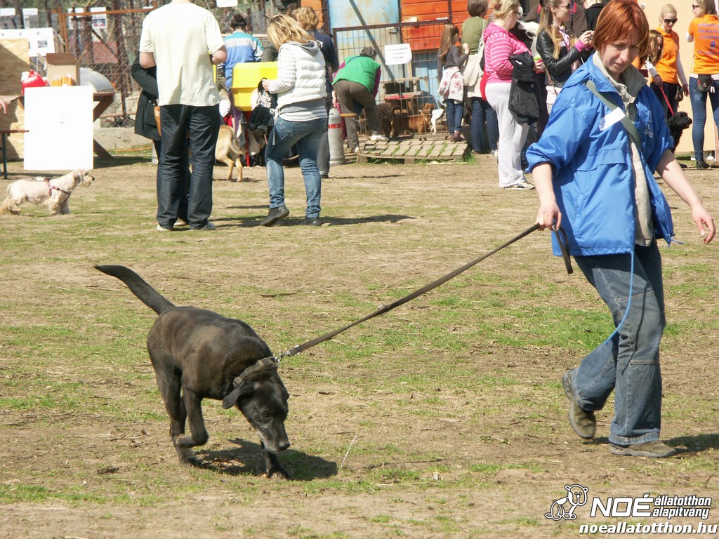 pict0168.jpg