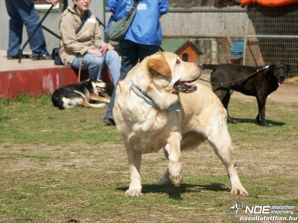 pict0179.jpg