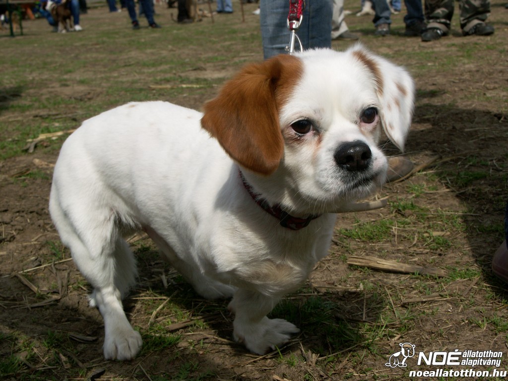 pict0317.jpg