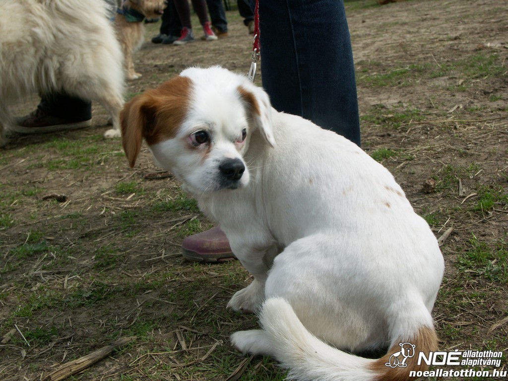 pict0320.jpg