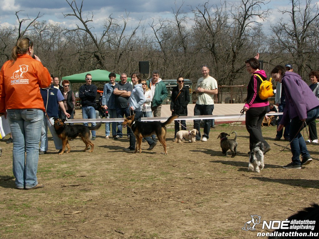 pict0338.jpg