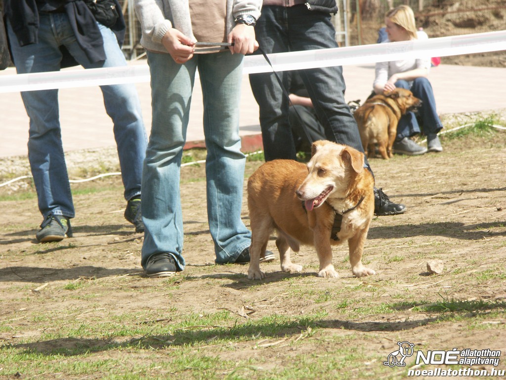 pict0448.jpg