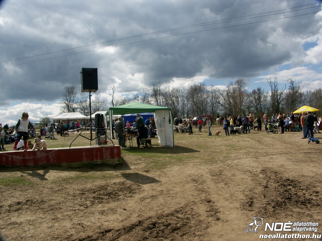 pict0483.jpg