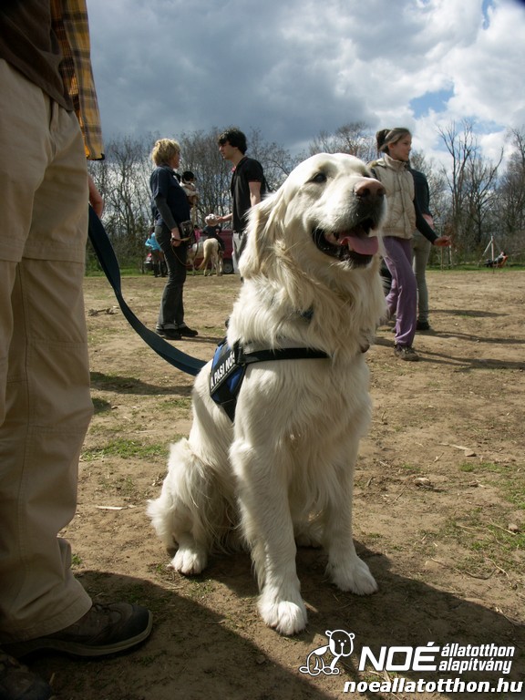 pict0502.jpg