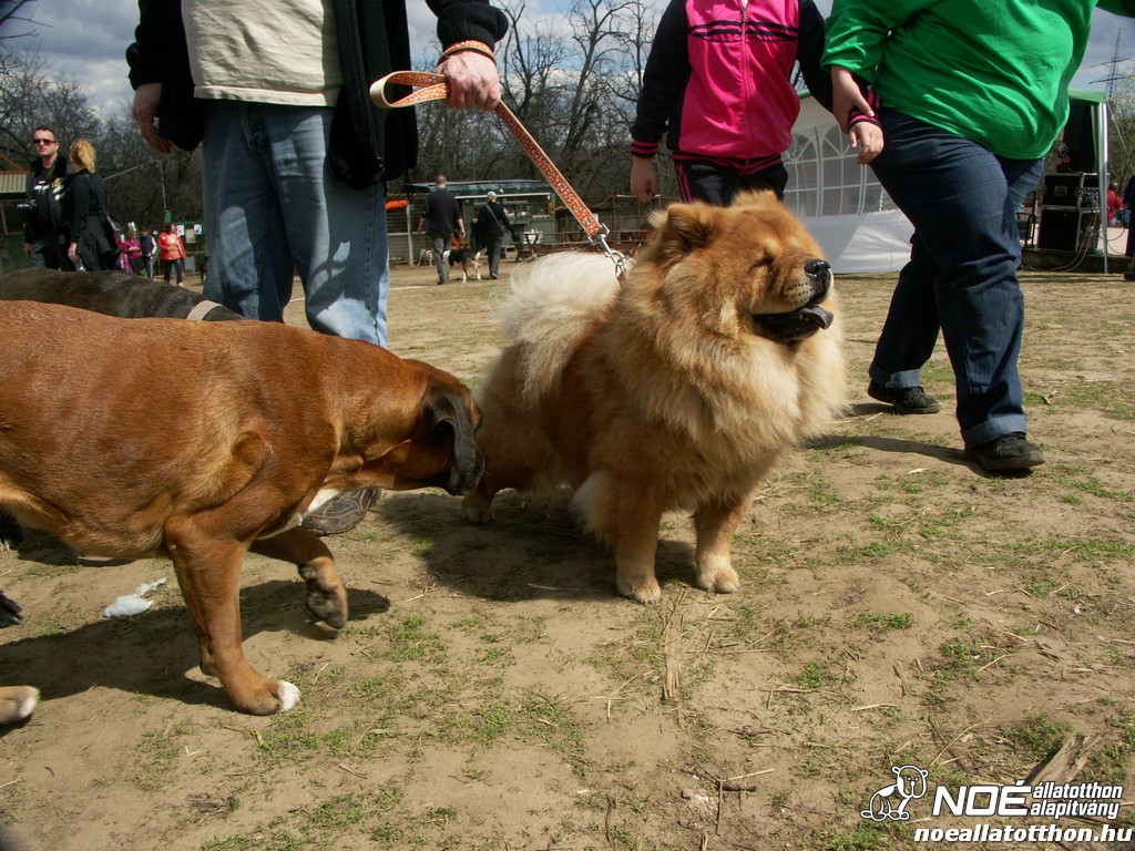 pict0516.jpg