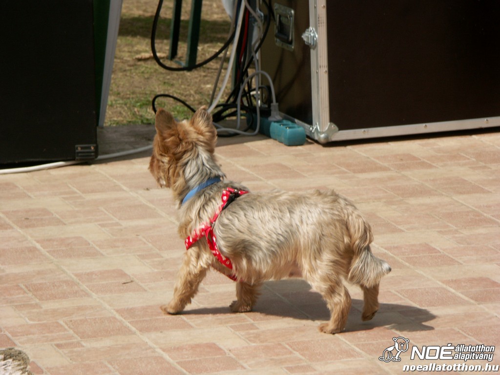 pict0543.jpg