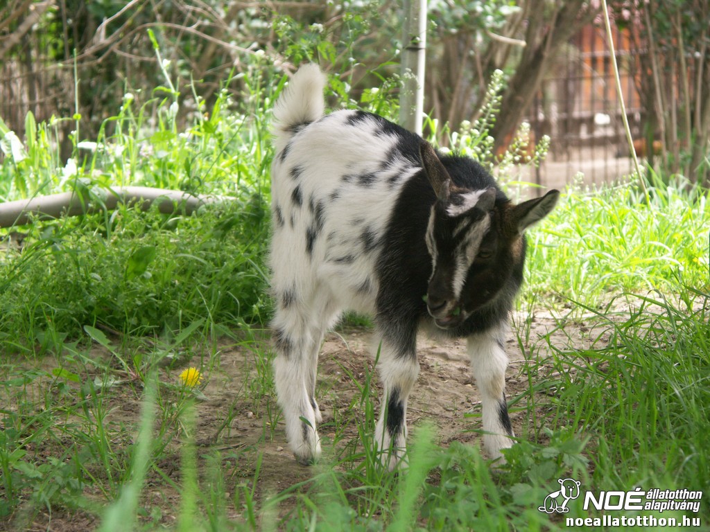 pict2009.jpg