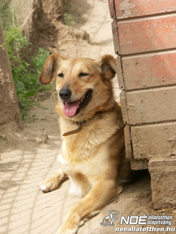 pict2095_4.jpg