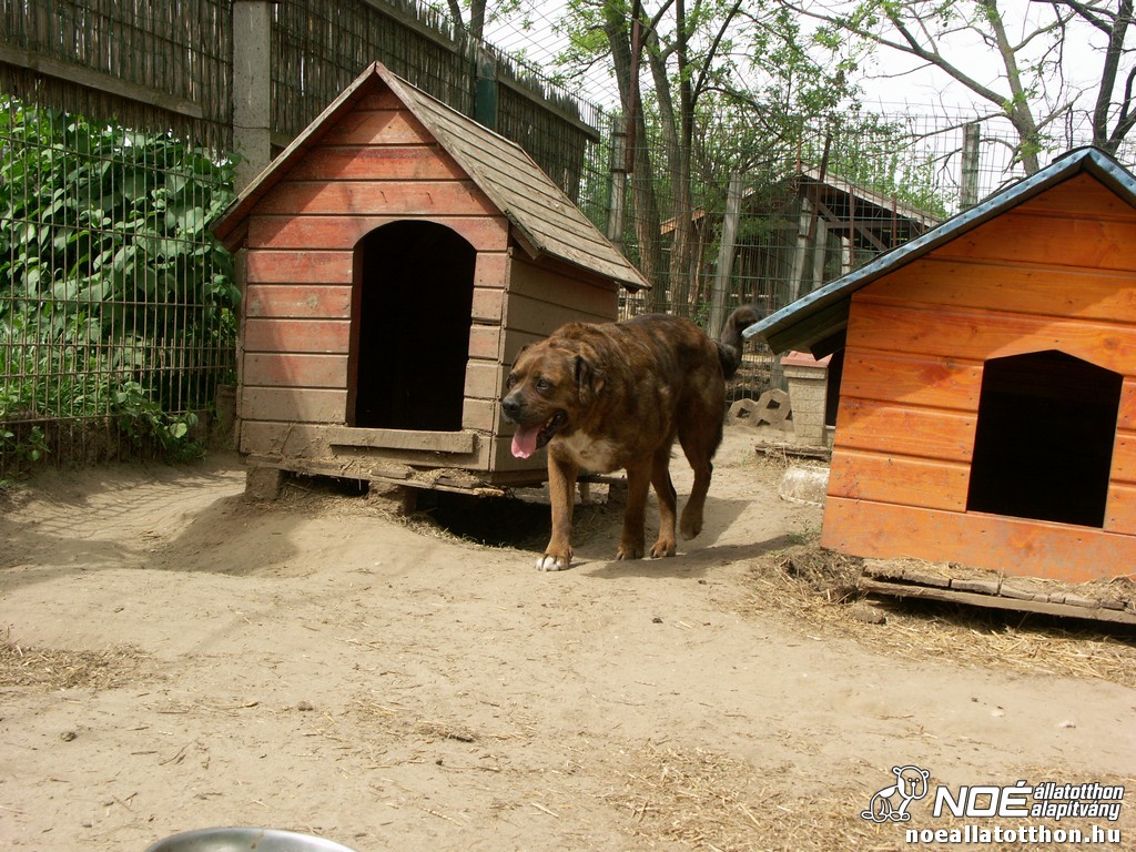 pict2112.jpg