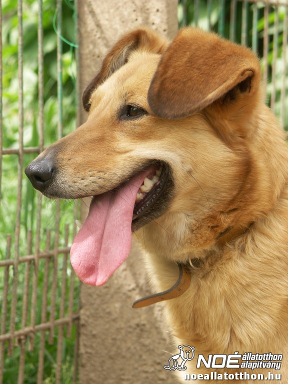 pict2127.jpg