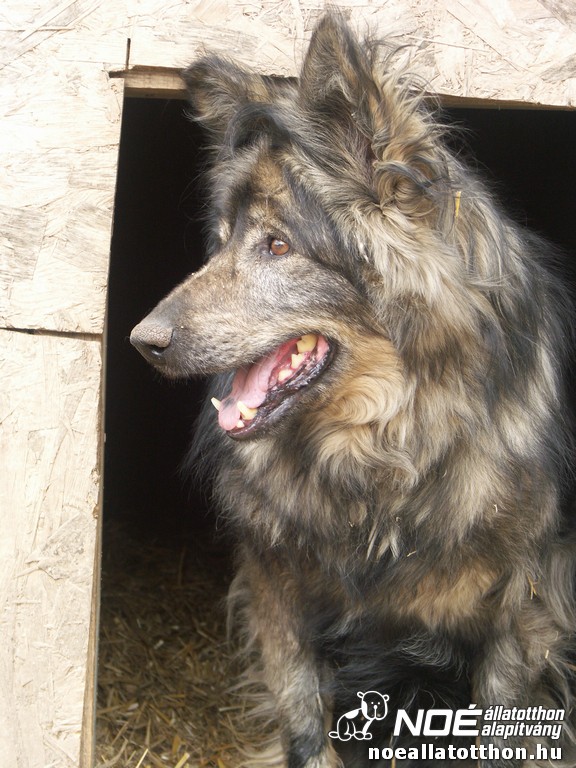 pict2212.jpg
