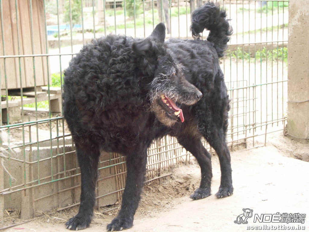 pict2249.jpg