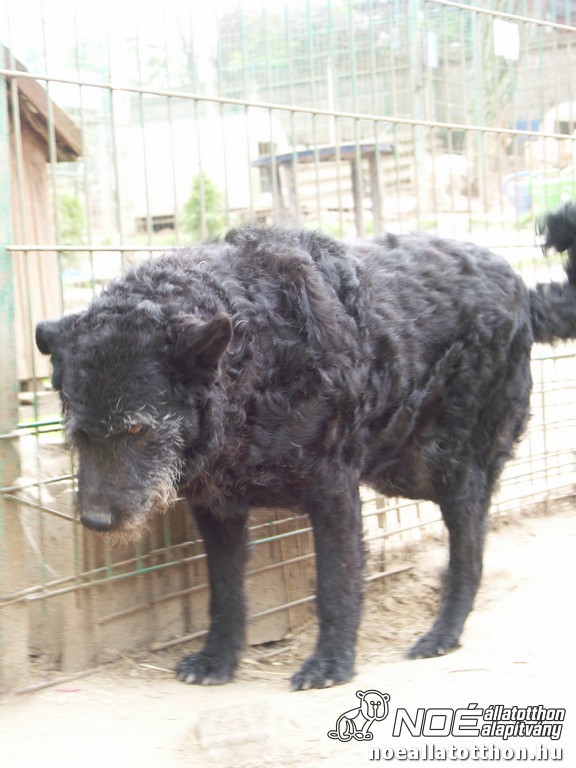pict2251.jpg