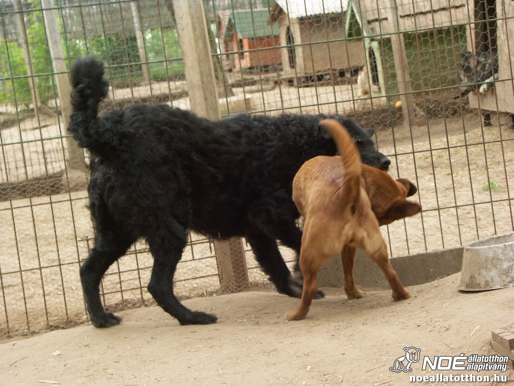 pict2321.jpg