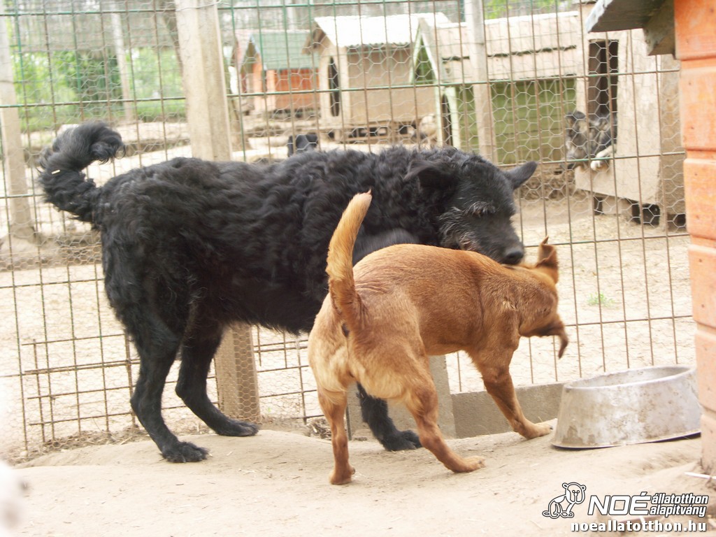 pict2322.jpg