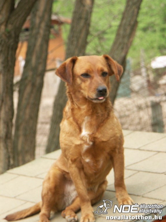 pict2345.jpg
