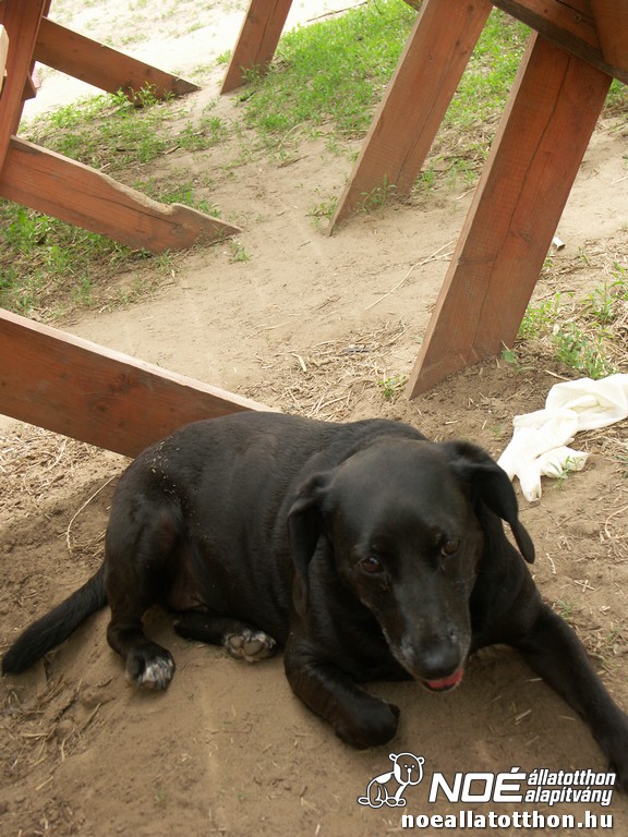 pict2362_2.jpg