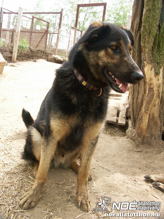 pict2420.jpg