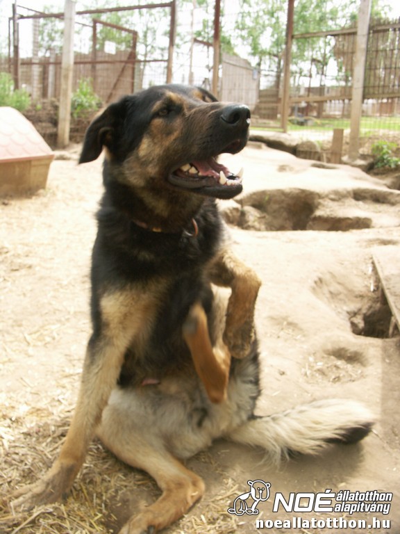 pict2439.jpg
