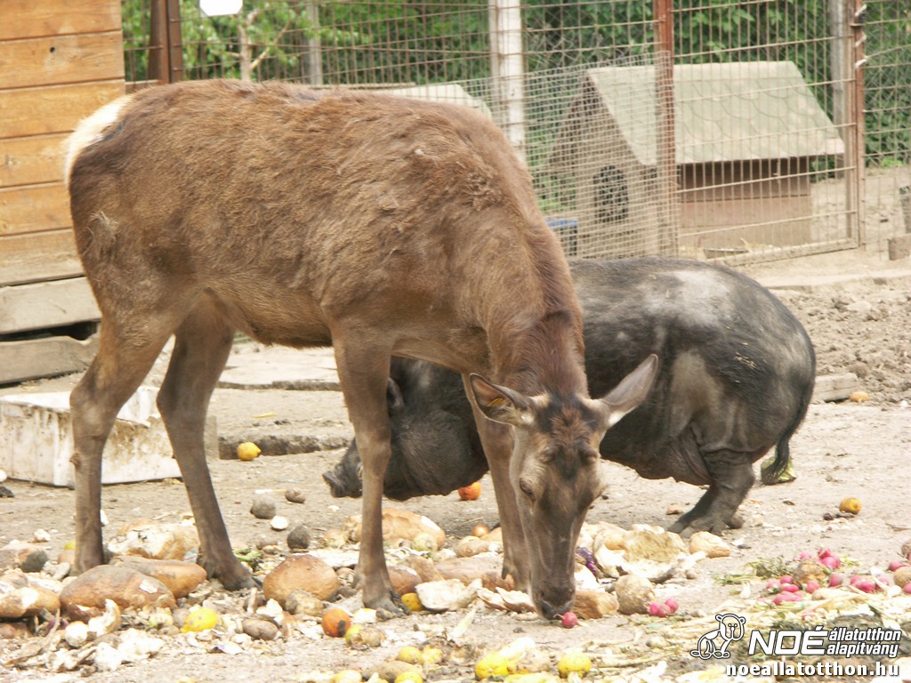pict2482.jpg